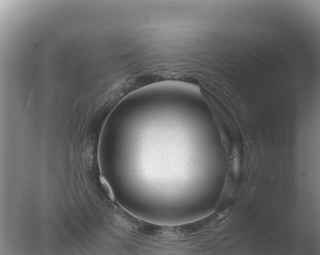 X0000077360697200610271854