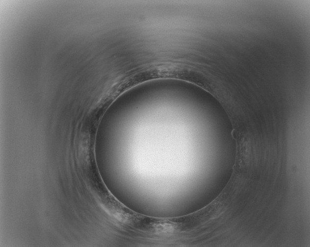 X0000077360698200610271854