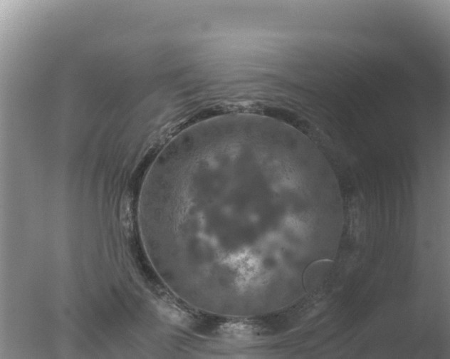 X0000077360699200610271854