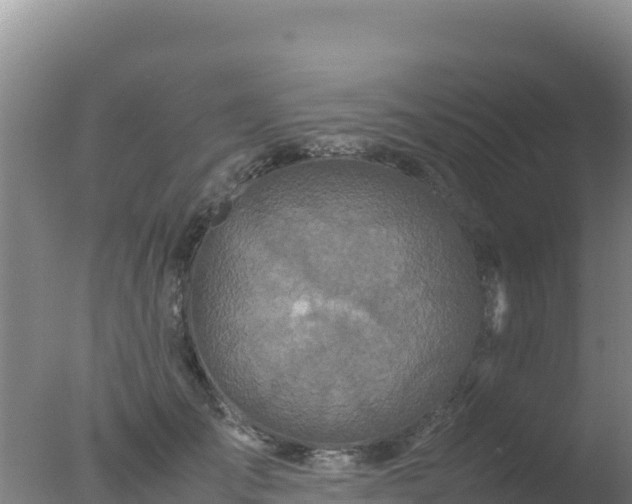 X0000077360701200610271854