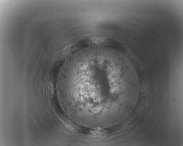 X0000077360703200610271854