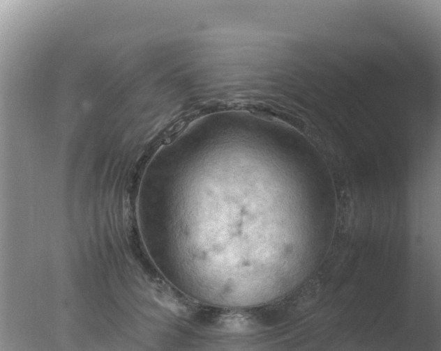 X0000077360704200610271854