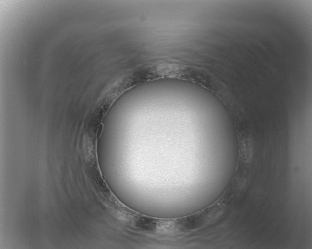 X0000077360705200610271854