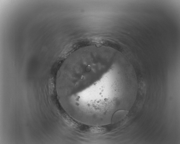 X0000077360707200610271854