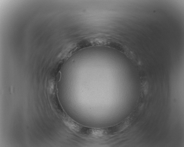 X0000077360709200610271854