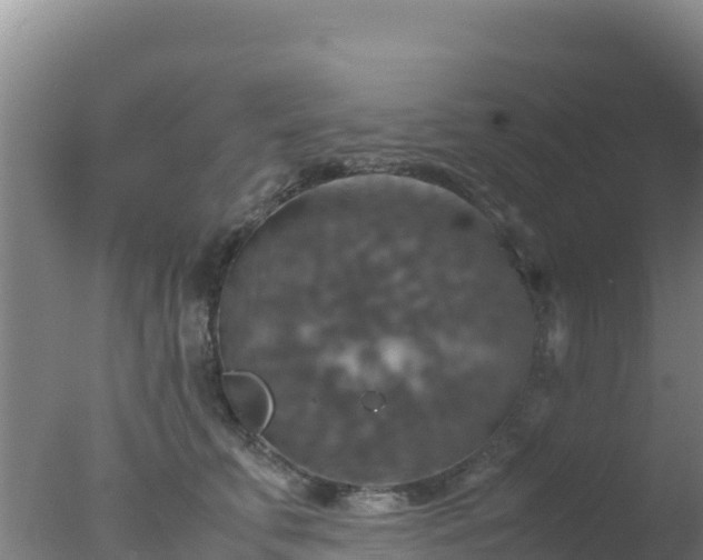 X0000077360711200610271854