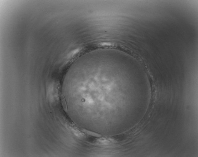 X0000077360712200610271854