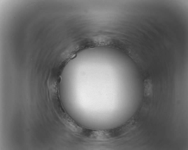 X0000077360713200610271854