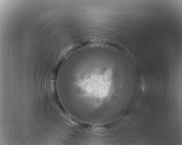 X0000077360716200610271854