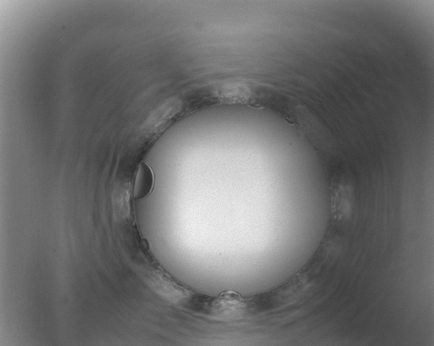 X0000077360717200610271854