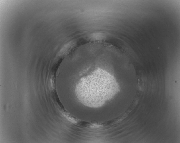 X0000077360718200610271854