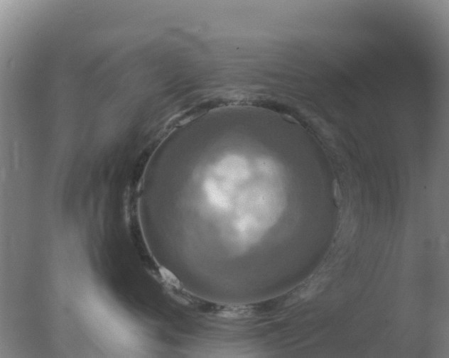 X0000077360720200610271854