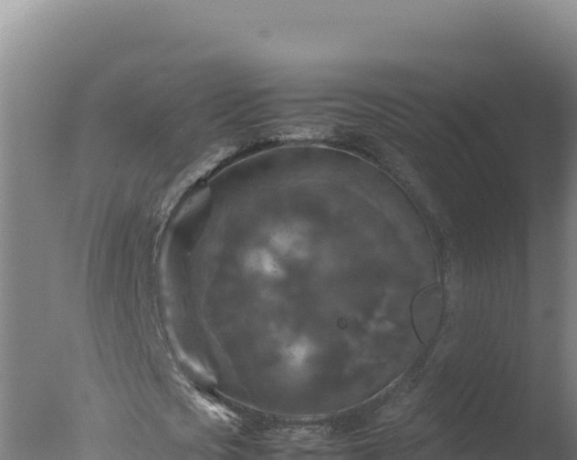 X0000077360721200610271853