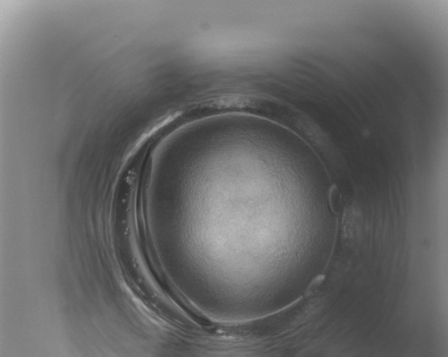 X0000077360722200610271853