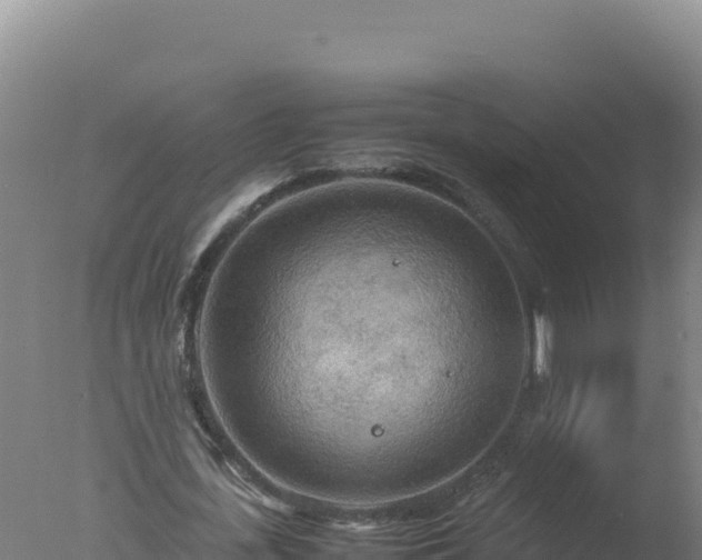 X0000077360723200610271853