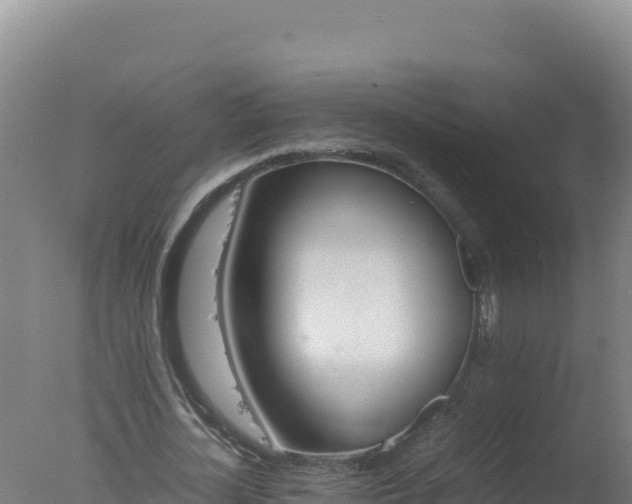 X0000077360724200610271853