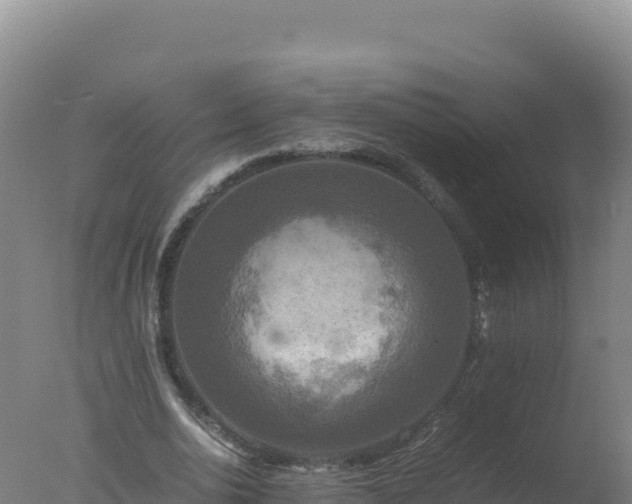 X0000077360726200610271853