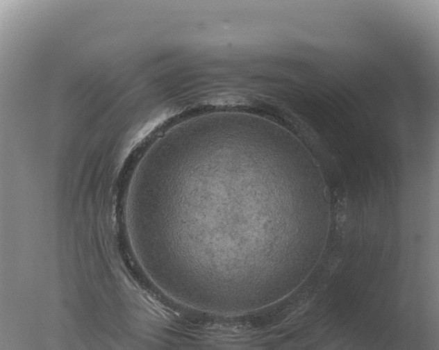 X0000077360727200610271853