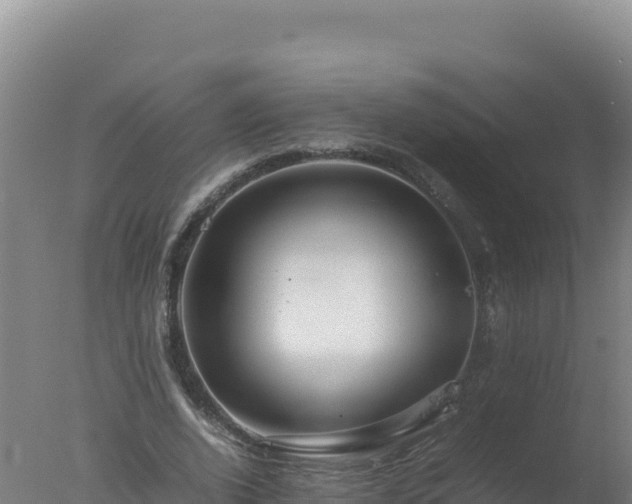 X0000077360728200610271853