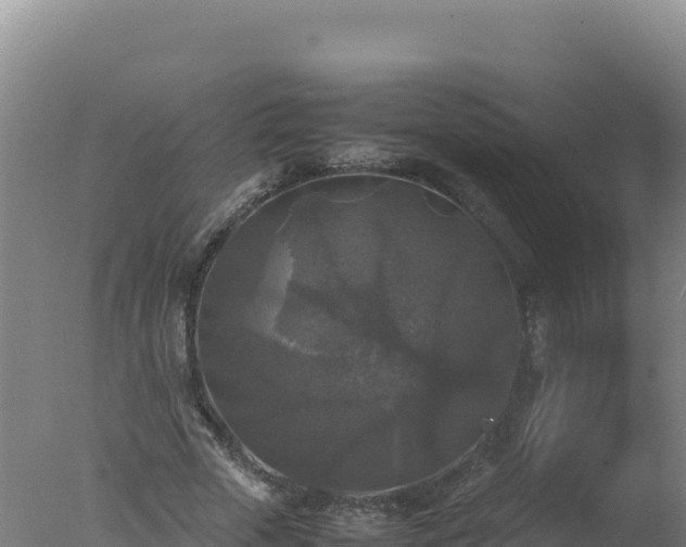 X0000077360729200610271853