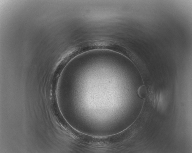 X0000077360731200610271853