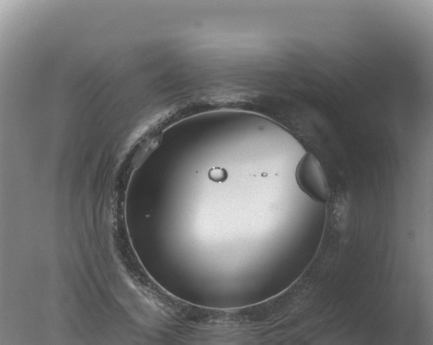 X0000077360732200610271853