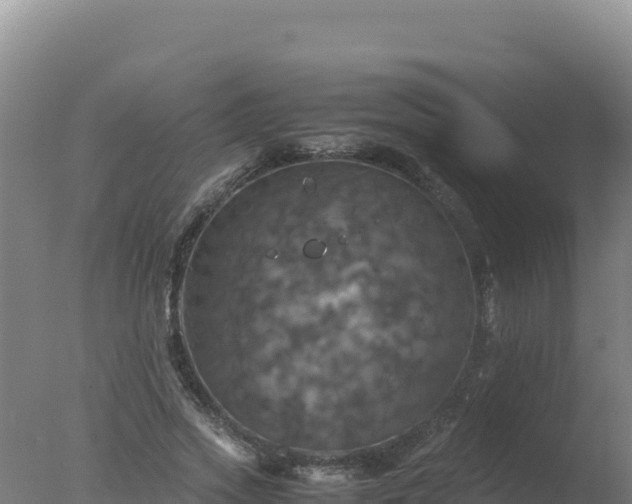 X0000077360733200610271853