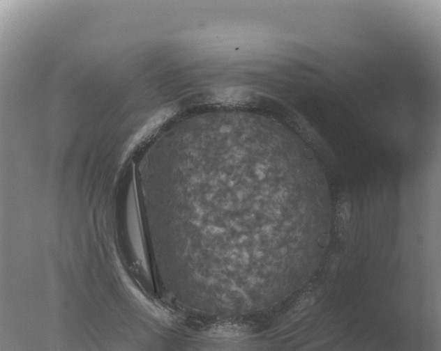 X0000077360734200610271853