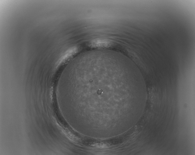 X0000077360735200610271853