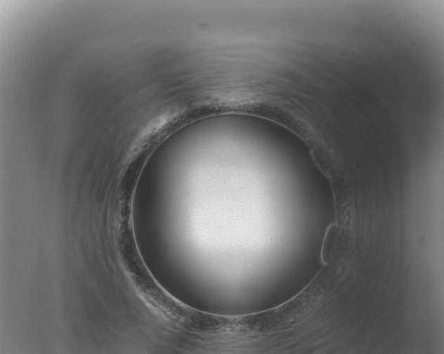 X0000077360736200610271853