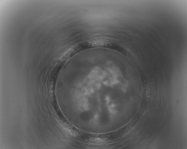 X0000077360737200610271853