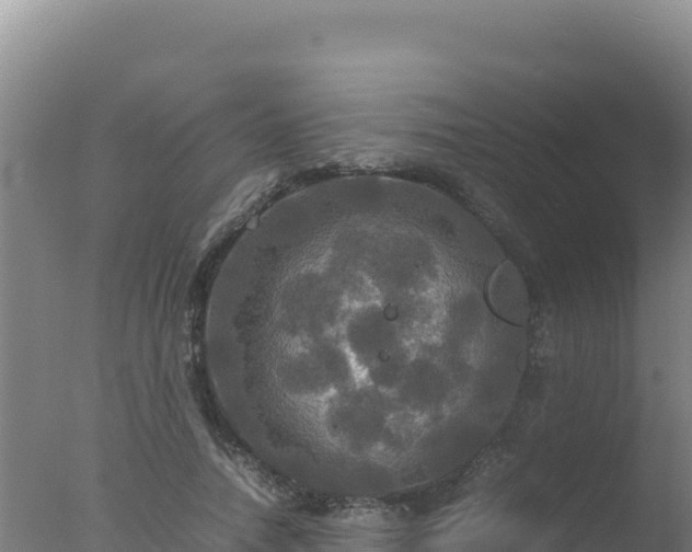 X0000077360738200610271853