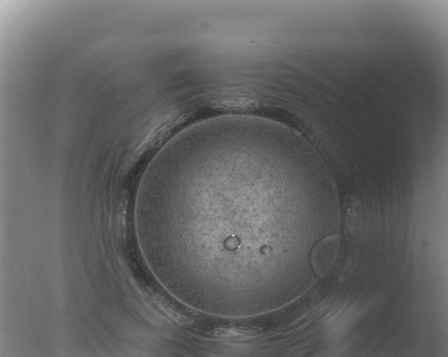 X0000077360739200610271853