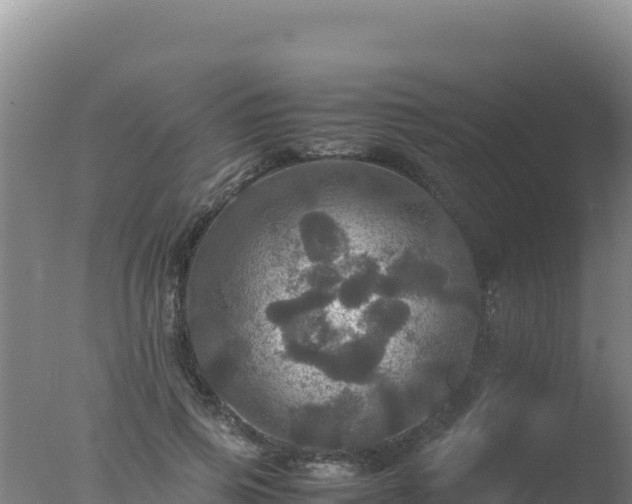 X0000077360741200610271853