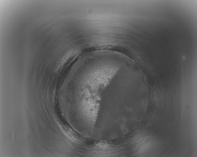 X0000077360742200610271853