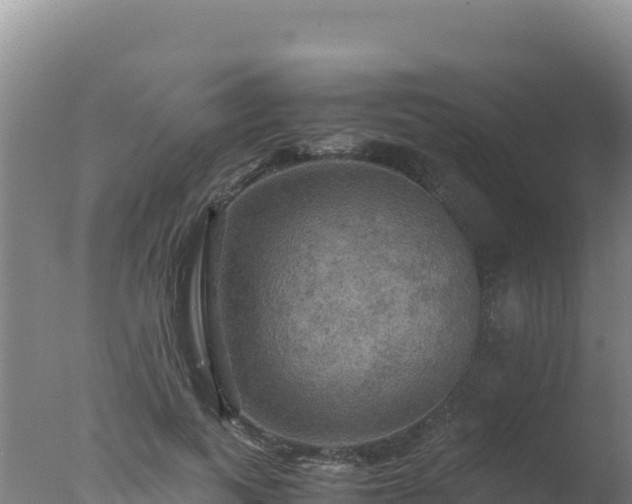 X0000077360743200610271853