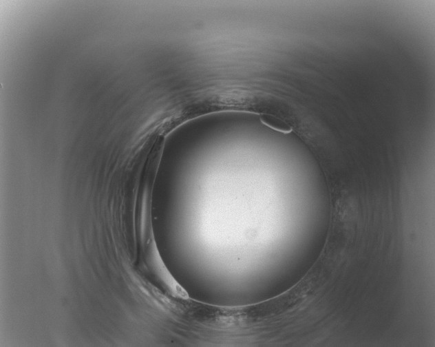 X0000077360744200610271854