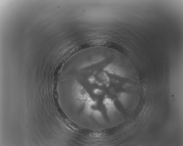 X0000077360745200610271854