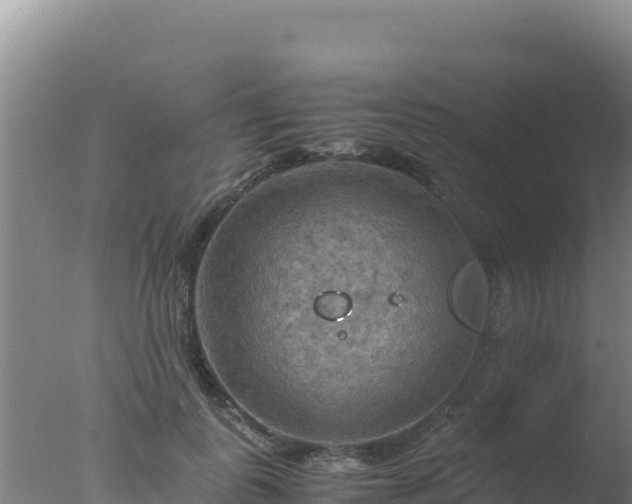 X0000077360747200610271854