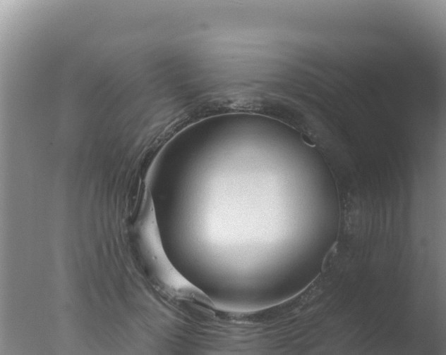 X0000077360748200610271854