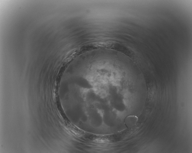 X0000077360749200610271854