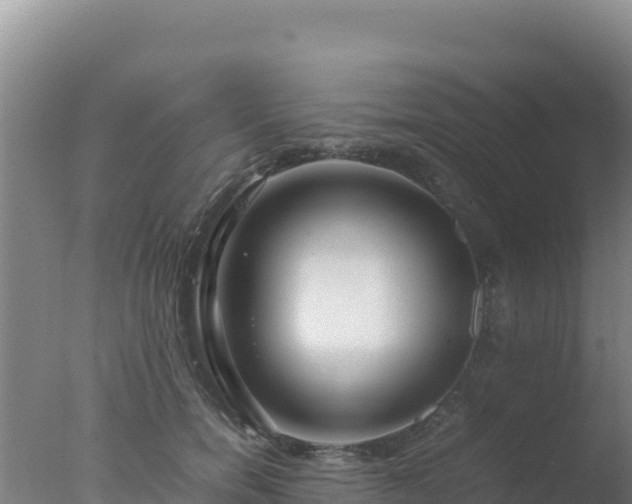 X0000077360750200610271854