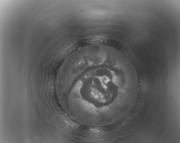 X0000077360753200610271854