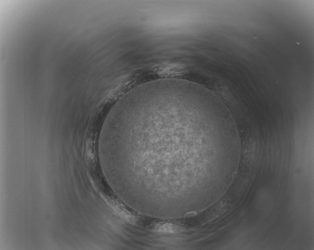 X0000077360755200610271854