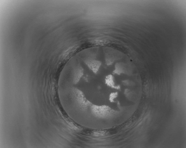 X0000077360757200610271854