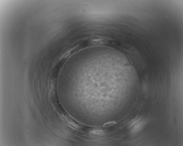 X0000077360759200610271854