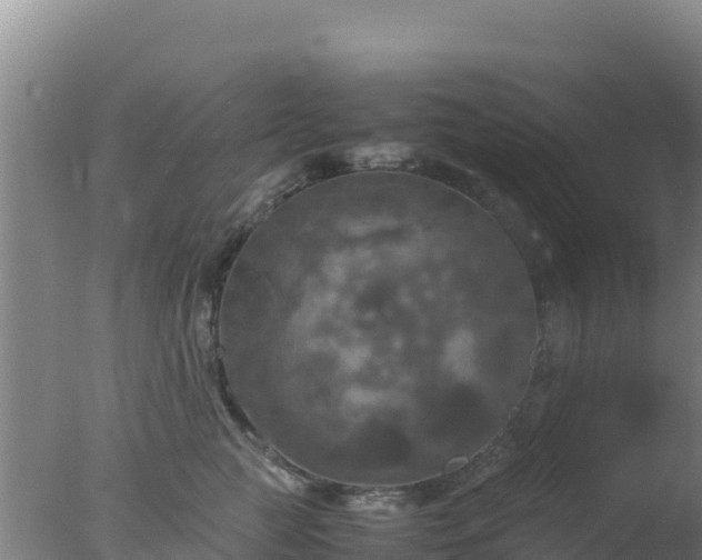 X0000077360761200610271854