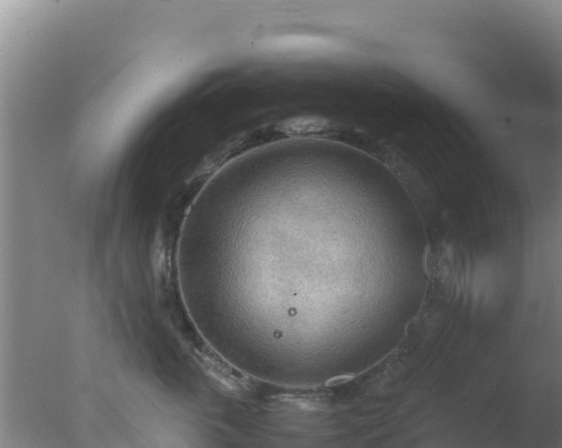 X0000077360763200610271854