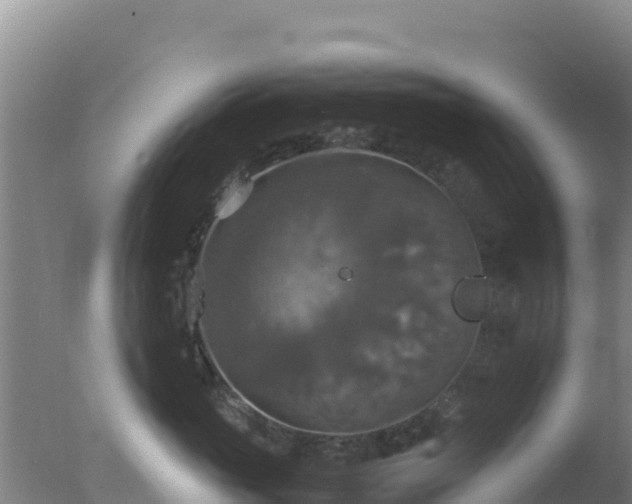 X0000077360765200610271854