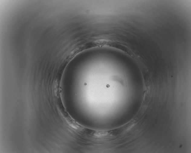 X0000077360767200610271854